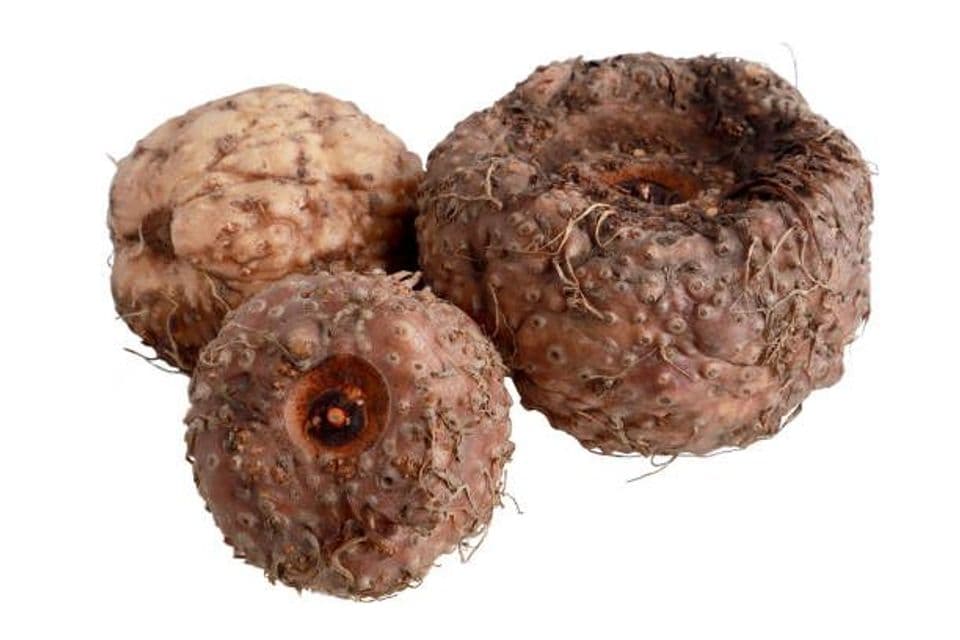 Peluang Usaha Tanaman Porang Ide Usaha yang Menguntungkan