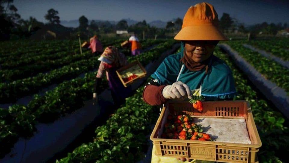 MengHadirkan Figur Inspiratif UMKM, BRI Ajak Makin Bertumbuh