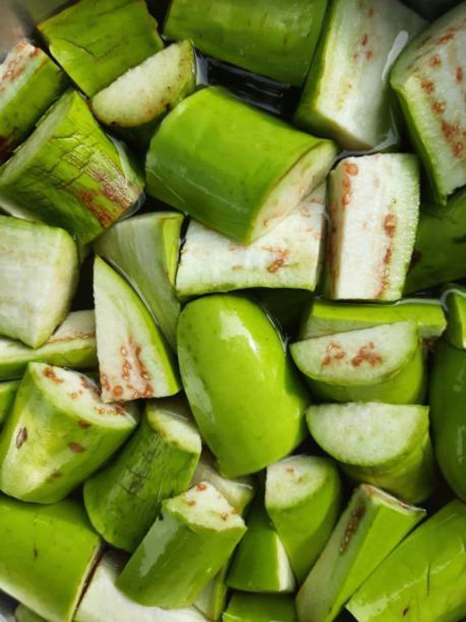 6 Tahapan Membudidayakan Terong Hijau agar Hasil Panen Maksimal dan Untung Berlipat