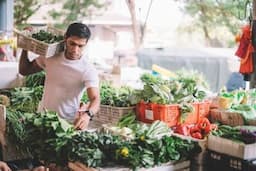 6 Cara Sukses Berbisnis Sayuran di Desa Serta Peluang Usahanya