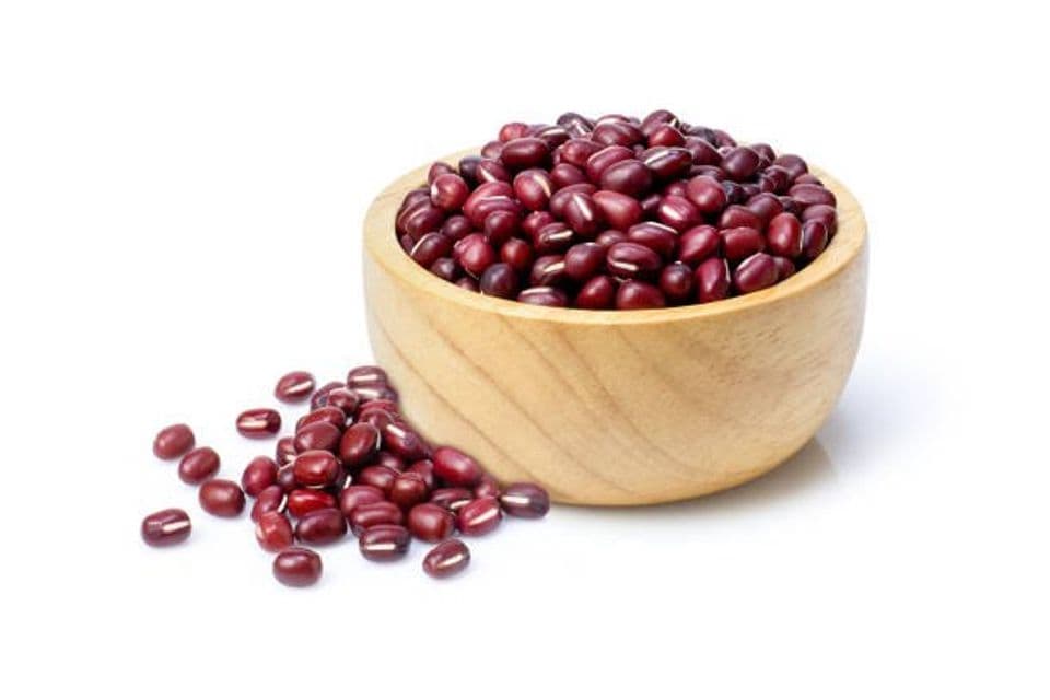 Budidaya Kacang Merah: Dari Cara Menanam Hingga Proses Panen 