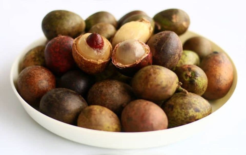 Budidaya Buah Matoa Khas Papua