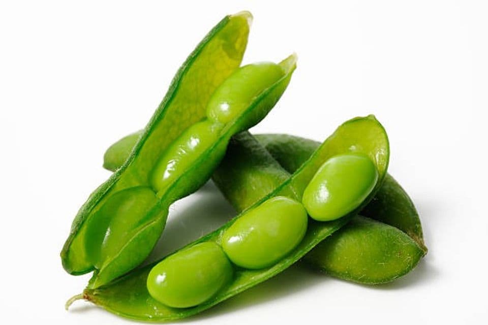 Prospek Bisnis Kacang Edamame Serta Manfaatnya Bagi Tubuh
