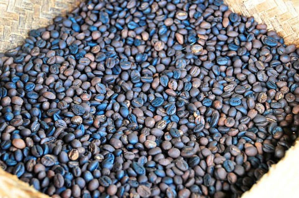 Liberika, Kopi Langka Berbentuk Unik dan Beraroma Nangka yang Banyak Dilirik