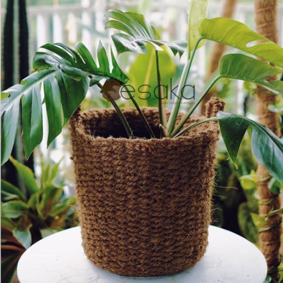 Kisah Inspiratif: Merubah Sabut Kelapa Menjadi Barang Bernilai Tinggi, Menembus Pasar Mancanegara