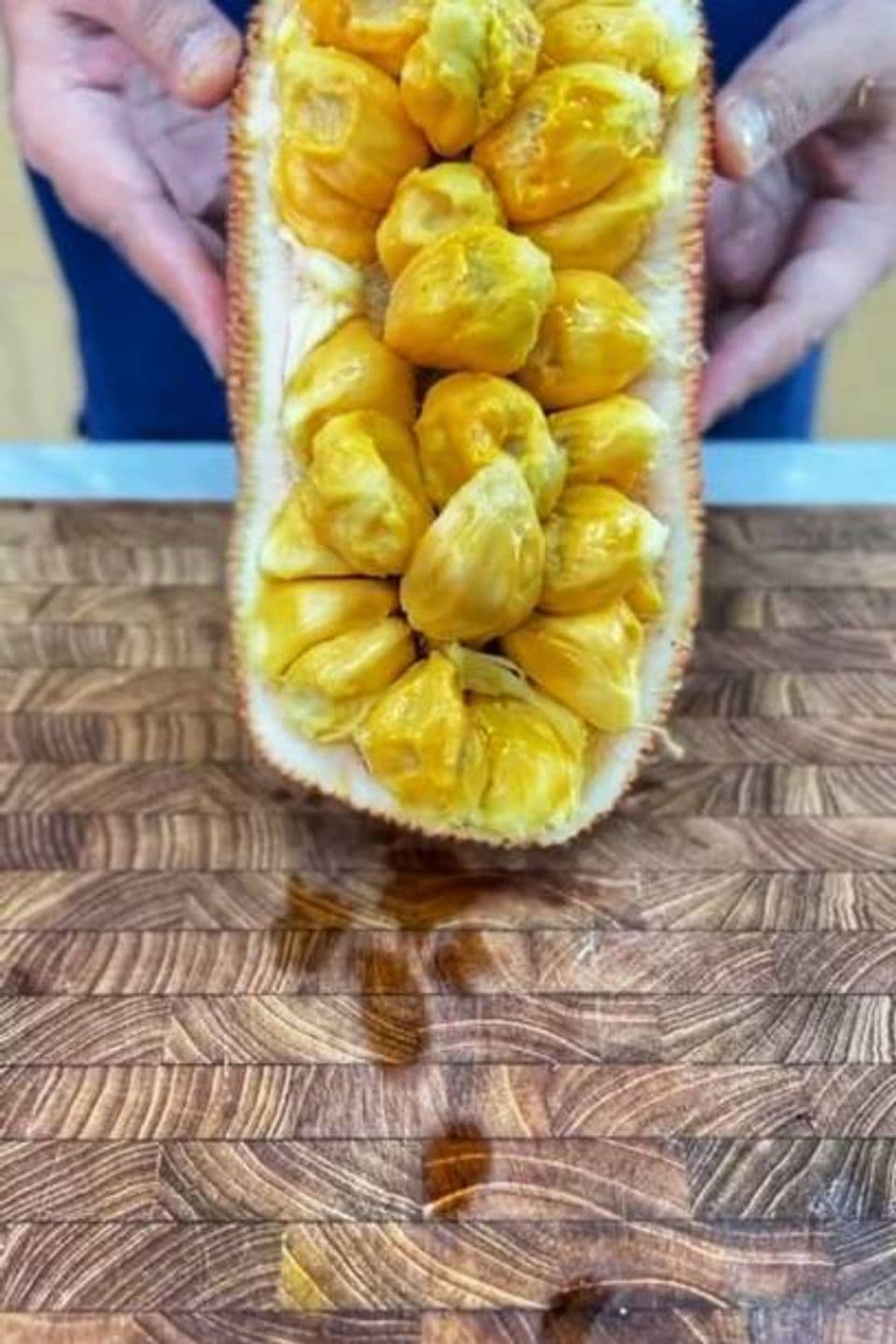 Tekhnik Budidaya Cempedak di dalam Pot, Lebih Hemat Tempat