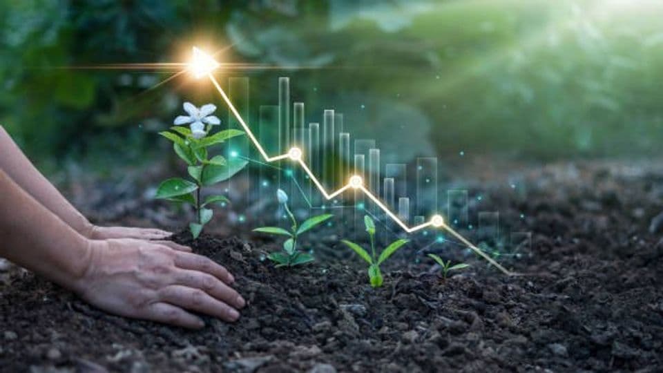 Jenis-jenis Media Tanam yang Bagus untuk Pertumbuhan Tanaman