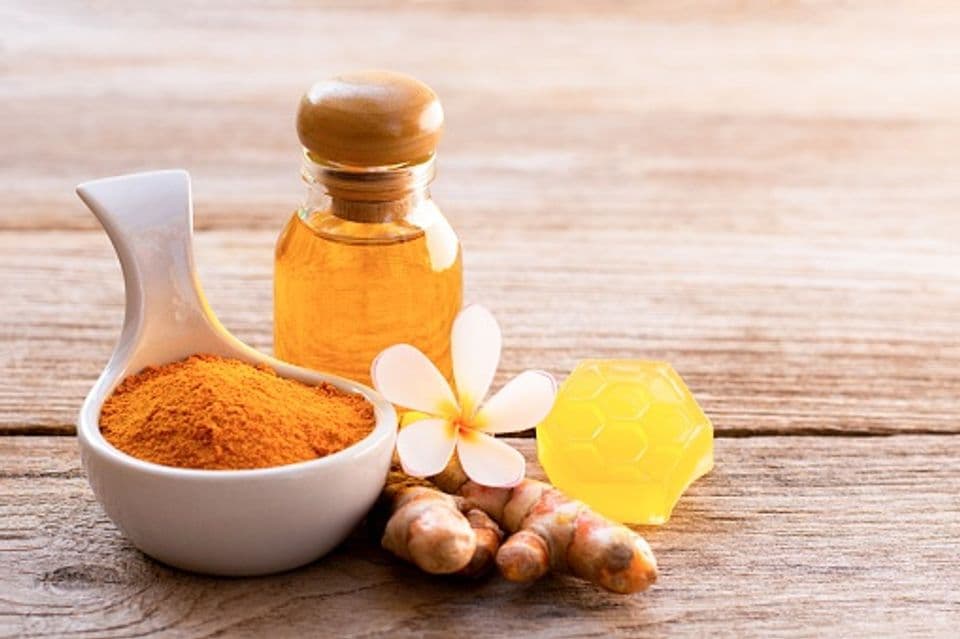 Budidaya Toga di Pekarangan Memiliki Sejuta Manfaat