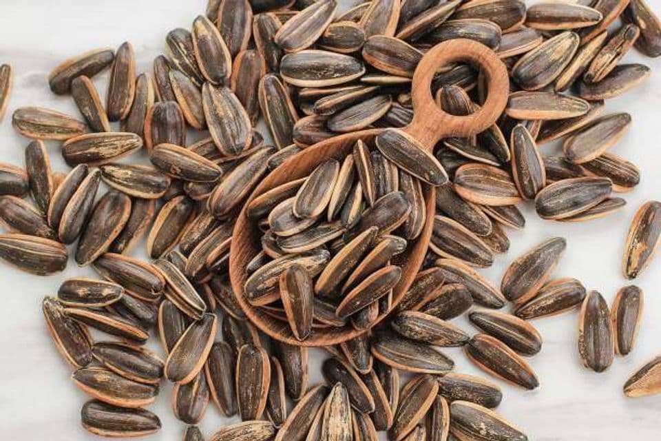 4 Manfaat yang Didapat Saat Mengkonsumsi Kuaci atau Biji Bunga Matahari