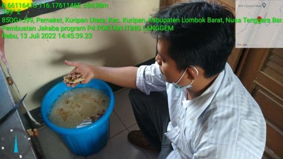 Mengenal Jamur Jakaba: Manfaat, Cara Membuat dan Merawatnya