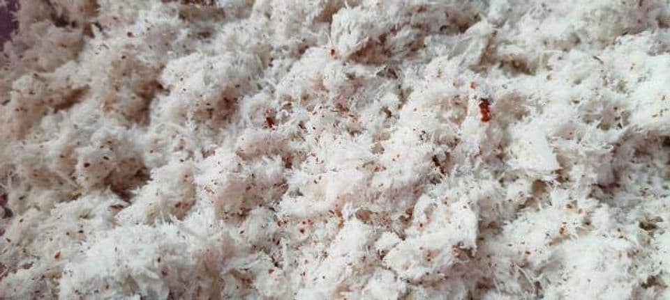 Analisis Usaha Kelapa Parut Terlengkap Bisa Menjadi Ide Bisnis Anda