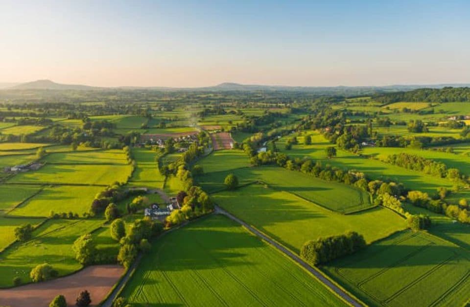 Investasi Sawah di Desa: Apa Saja Keuntungan dan Hal yang Harus Diperhatikan?