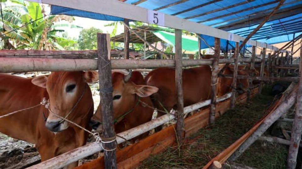 Tips Agar Usaha Di Desa Cepat Berkembang serta Jenis Usahanya