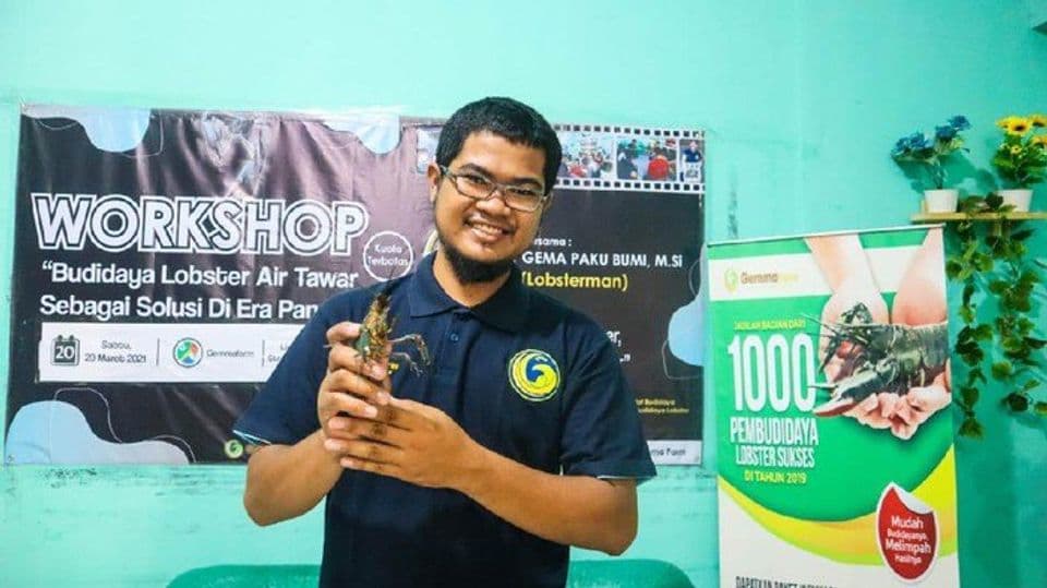 Wow! Mahasiswa ini Mampu Mencapai Omset Ratusan Juta dari Budidaya Lobster