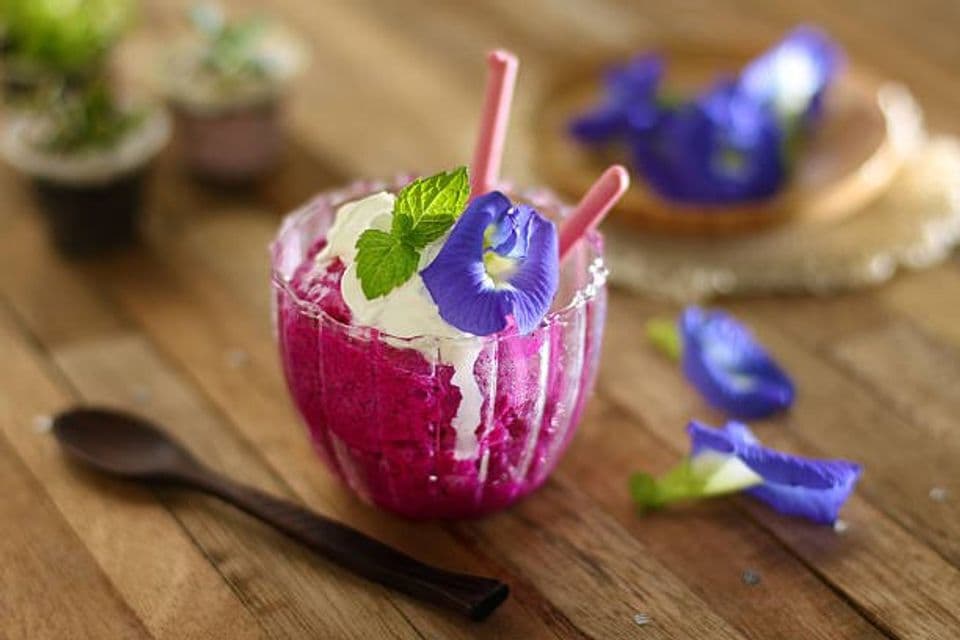 Resep Olahan Buah Naga jadi Minuman Enak dan Segar 'Sorbet Yogurt Buah Naga'