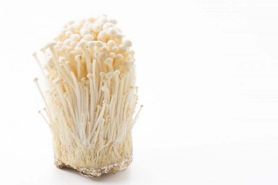 Cara Budidaya Jamur Enoki di Rumah, Bisa Dipanen Setelah 14 Hari!