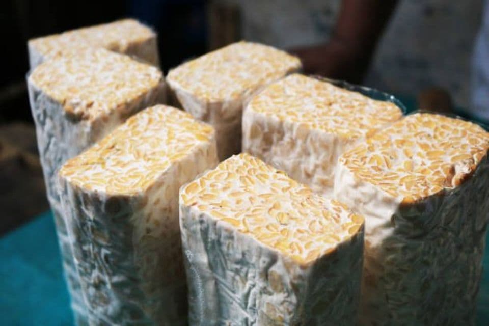 5 Tips Menyimpan Tempe agar Awet dan Tahan Lama, Dijamin Tidak Busuk!