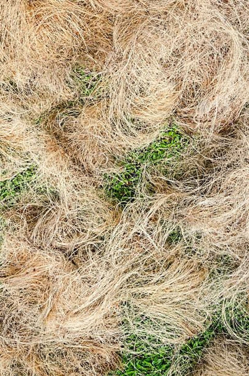 Cara Unik Mengurangi Limbah, 5 Macam Barang Kerajinan dari Sabut Kelapa