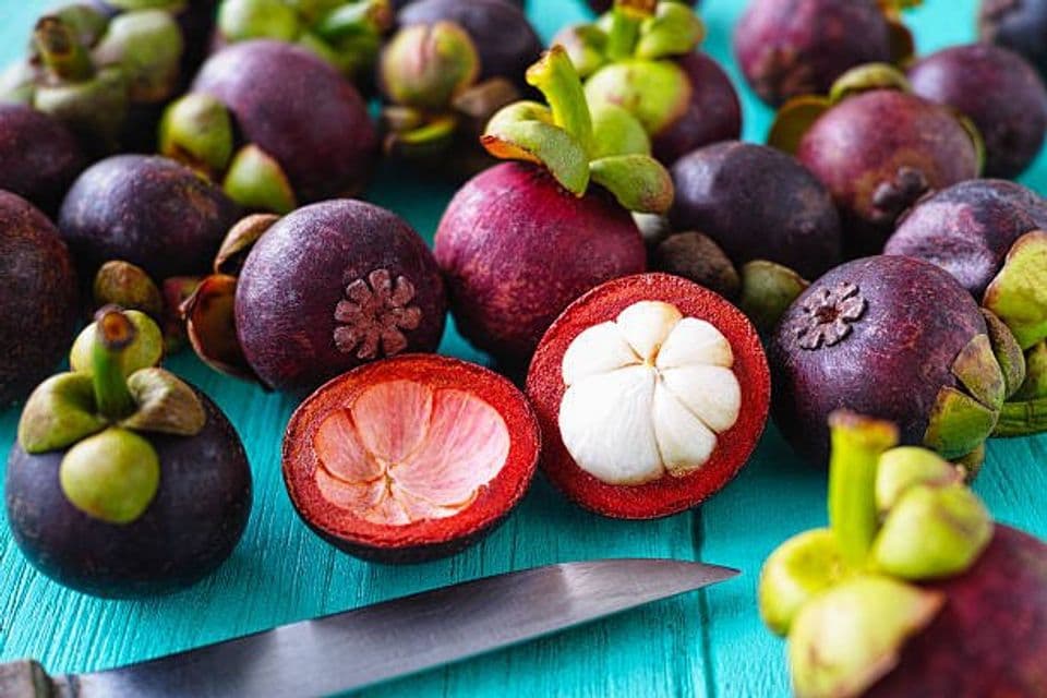 Proses Pembudidayaan Buah Manggis dengan Menggunakan Polybag atau Pot