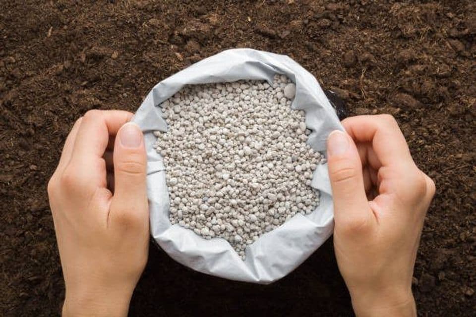 Tips Membedakan Pupuk Asli dan Palsu, Petani Harus Tahu!